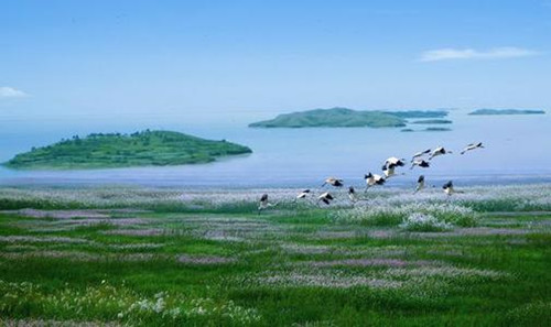 潘阳湖湿地旅游包车